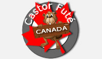 Castor Futé